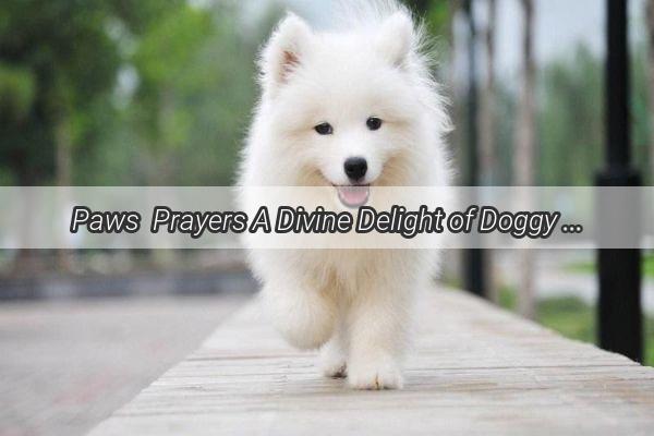 Paws  Prayers A Divine Delight of Doggy Baths  Discover the Serenity of Soaking Your Furry Friend